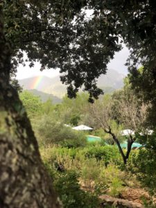 OTANI WELLNESS_Mallorca_Retreat_Travel_Breathwork_2