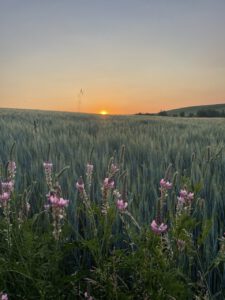 OTANI WELLNESS_Travel_Sightseeing_Reisen_Erholung_Abenteuer