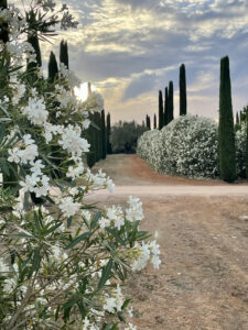 Son Sion_Mallorca_OTANI Wellness_6