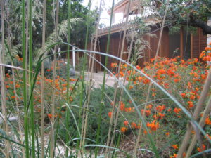 Garden 1